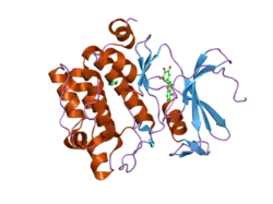 2o65: Crystal structure of Pim1 with Pentahydroxyflavone