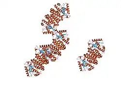 2ocp: Crystal Structure of Human Deoxyguanosine Kinase