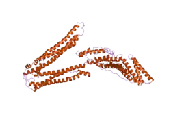 2oev: Crystal structure of ALIX/AIP1