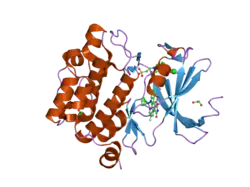 2oi4: Crystal structure of human PIM1 in complex with fluorinated ruthenium pyridocarbazole