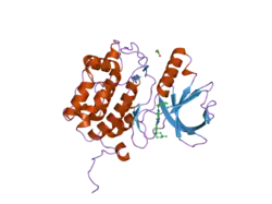 2owb: Structure of the Catalytic Domain of Human Polo-like Kinase 1