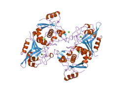 2p0r: Structure of Human Calpain 9 in complex with Leupeptin
