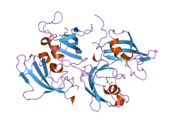 2pbc: FK506-binding protein 2