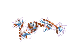3brw: Structure of the Rap-RapGAP complex