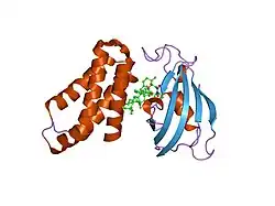 3fap: ATOMIC STRUCTURES OF THE RAPAMYCIN ANALOGS IN COMPLEX WITH BOTH HUMAN FKBP12 AND FRB DOMAIN OF FRAP