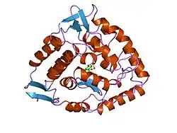 4pah: HUMAN PHENYLALANINE HYDROXYLASE CATALYTIC DOMAIN DIMER WITH BOUND NOR-ADRENALINE INHIBITOR