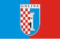 Flag of Gmina Golina