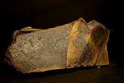 Photo of an engraved limestone plaque depicting a horse’s head