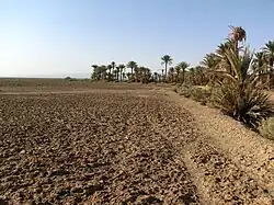 Landscape in Bafq County