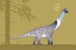 Dorsal vertebra of Paludititan