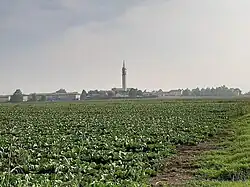 A large field of leafy plants lead to the horizon, where a town with a tall belltower is situated.
