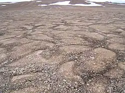 ... with patterned ground on Devon Island in the Canadian Arctic, on Earth