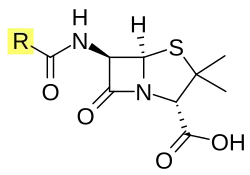 Penicillin core.[14]