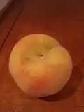 Percoca (variety of peach)