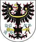 Coat of arms of Petrovice I