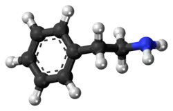 Ball-and-stick model of phenethylamine
