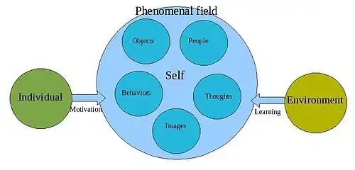 Phenomenal field theory
