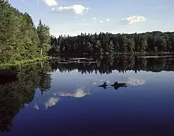 Lake at Promised Land State Park