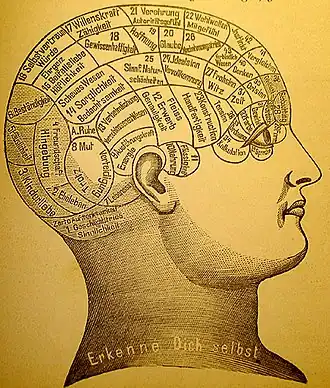 Phrenological diagram of the human head from the side. Different different areas are marked for distinct brain functions.