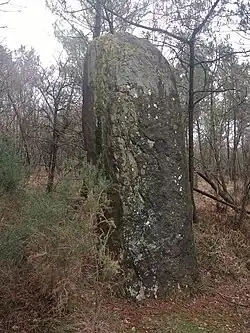 Menhir Pierre longue in Molac