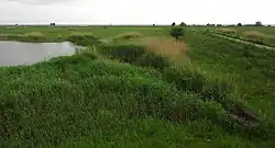 Pikla coastal meadow near Piirumi village.