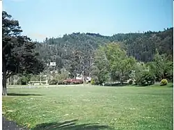 Pinehaven Reserve taken c. 1980