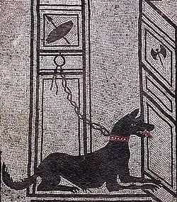 Cave canem! Watchdog from the House of Paquius Proculus, Pompeii