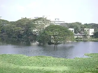 View of Chetpet lake
