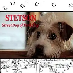 Poster art for the film Stetson, Street Dog of Park City