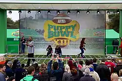 A crowd watches a miniature American football stadium, inside of which are several women holding puppies. Several dog toys are scattered across the field. On the wall behind the stadium is a large logo depicting an American football and a bone-shaped dog tag emblazoned with the words "PUPPY BOWL XIII".