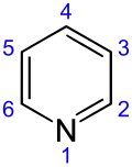 Skeletal formula of pyridine, showing the numbering convention