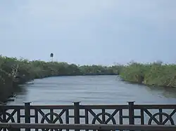 Río de la Plata from Bridge on Calle Méndez Vigo in Dorado
