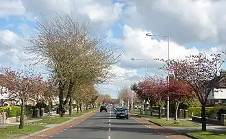 R112 road (Templeville Road).jpg