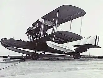 Amphibious biplane on runway
