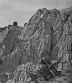 Salt Creek Canyon, Utah