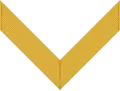 Chevron/ sleeve insignia