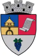 Coat of arms of Ștefănești