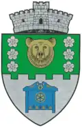 Coat of arms of Sărățeni