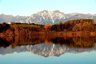A body of water with trees with brown leaves in the distance.