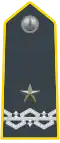 Colonel, acting Brigadier-General (Brigadier)