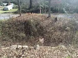 The reservoir (formerly filled with water) at Janney Furnace Park. The water in this reservoir powered a steam engine which ran the billows for the furnace. The reservoir was dug by hand.
