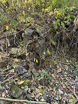 Rock Walls In Forwood Preserve