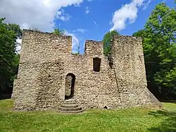 Ruins of the medieval castle