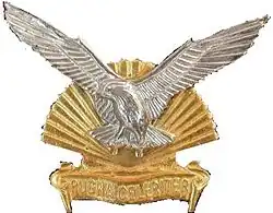SANDF Regiment Durban emblem