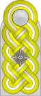 Shoulder board (Waffen-SS)