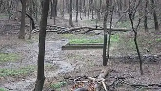 One of the Illinois Salines