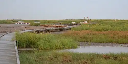 Gambusia Nature Trail Boardwalk, a 0.9 mile boardwalk through tidal mud flats and marshes.
