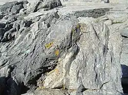 Sea point contact zone mixed rocks