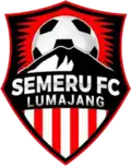 Semeru FC Lumajang (2017–2019)[7]