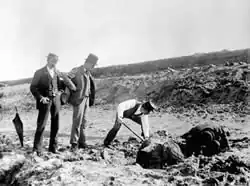 Excavation of dugong remains at Shea's Creek in 1896, during construction of the Alexandra Canal. The curator of the Australian Museum, Robert Etheridge, stands centre wearing a top hat., Image: Australian Museum archives